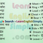 Vocabulary Part 03